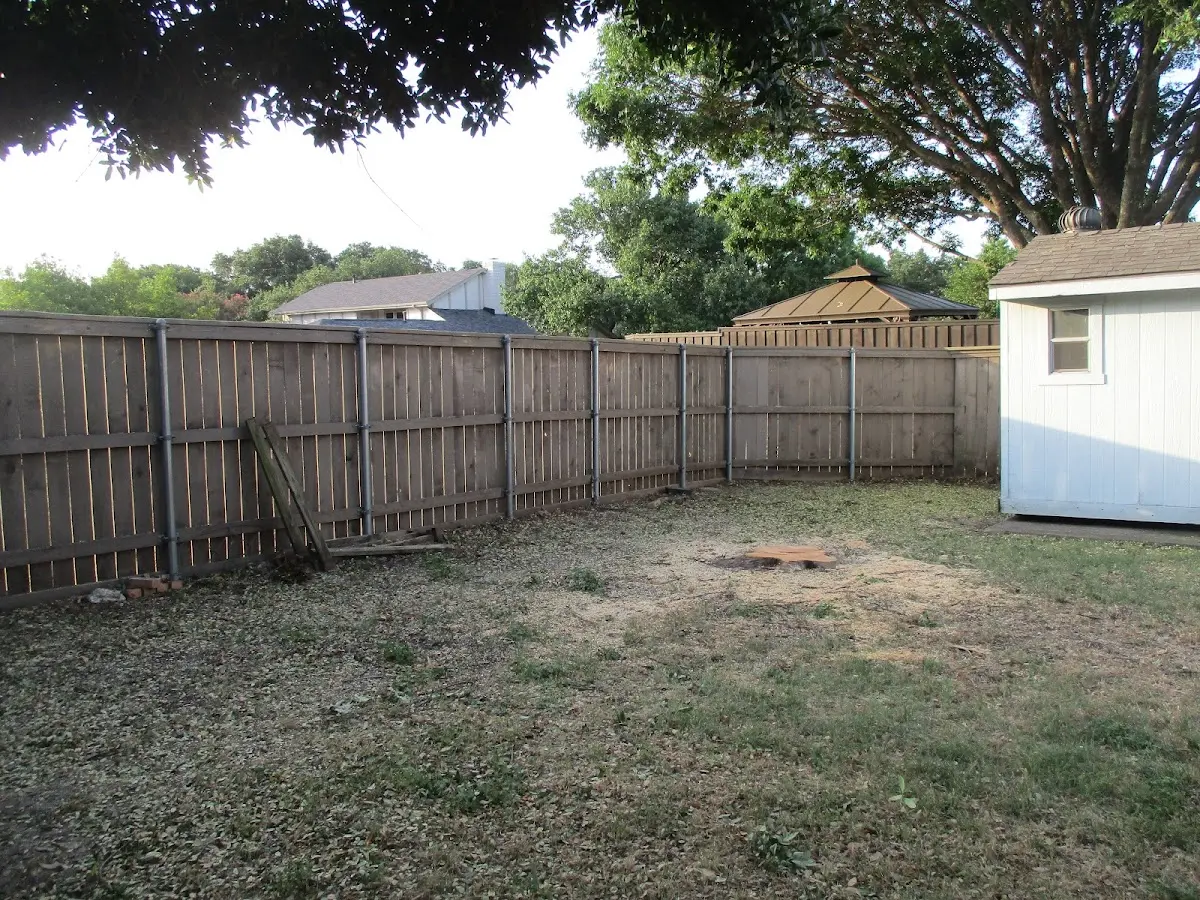 Cleared yard after professional tree removal in Lowell